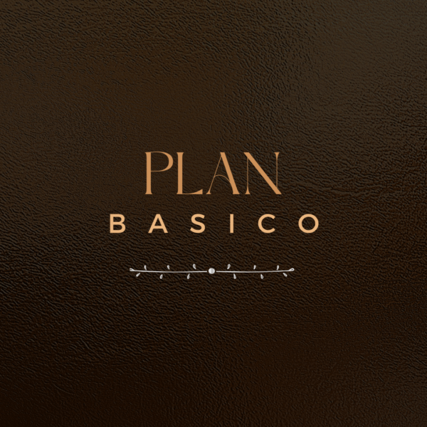 Plan Básico