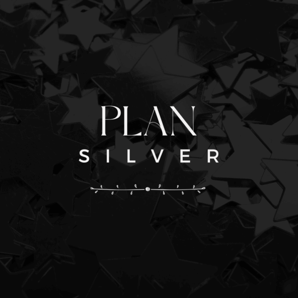 Plan Silver
